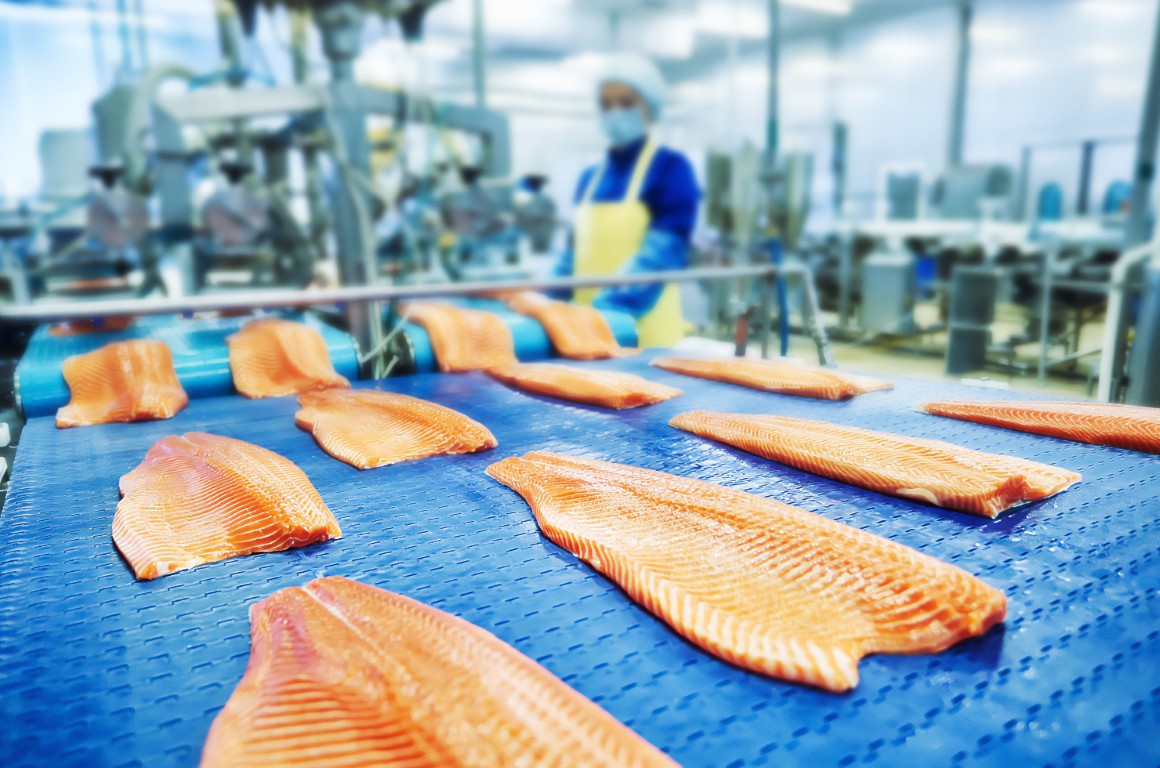 Food Processing Belts
